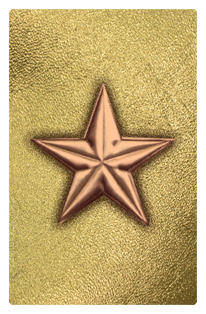 DF35T 430 BZ GD Star Bronze Gold